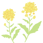 034