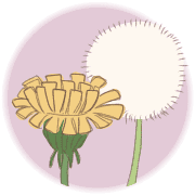 036