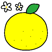 036