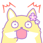 005