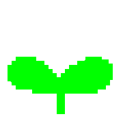 031