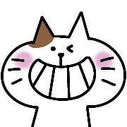 003