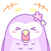 005