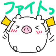 019