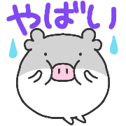 031