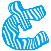 020