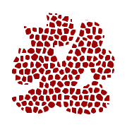 005