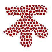019