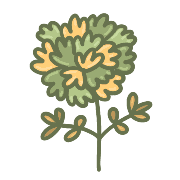 019