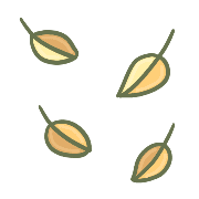 029
