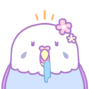 019