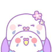 029
