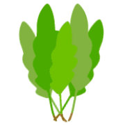024