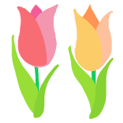 039