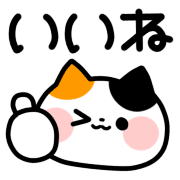 003