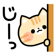 031