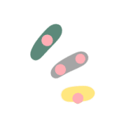 029