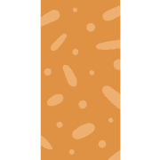 013