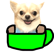 007