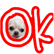 009