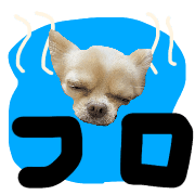 010