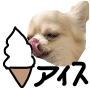 013