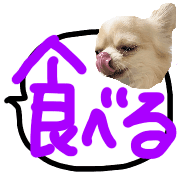 020