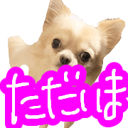 030