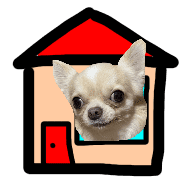 031