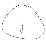 021