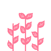 019