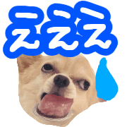 004