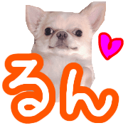 023