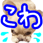 027