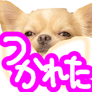 040