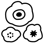 020