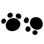 024
