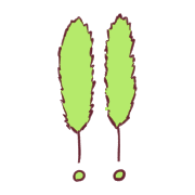 036
