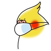 008