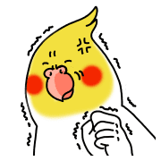 019