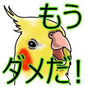 034