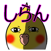 040