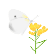 อิโมจิไลน์ KURUMI flowers emoji