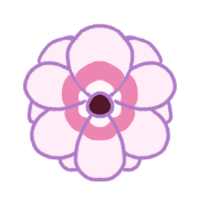 008