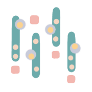 036