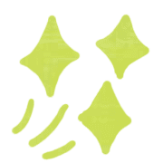 004