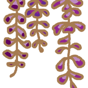 005