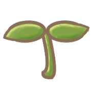 029