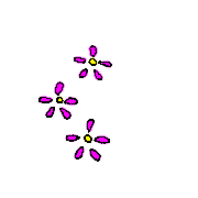 035