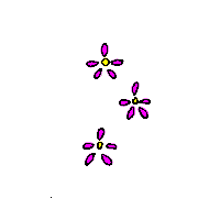 036